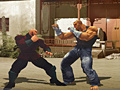 Game The Perfect Fighter