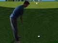 Game Flash Golf 3D