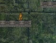 Game Bunny Adventure