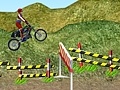 Game Motorcycle Rally