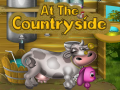 Game At The Countryside