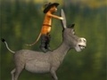 Game Travel cat and a donkey