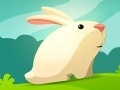 Game Greedy Rabbit