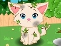 Game Lovely Kitten Caring