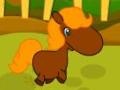 Game Pony Races