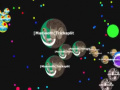 Game Gota. io 