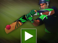 Game Cricket Batter Challenge