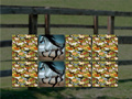 Game Horse Memo Deluxe