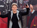 Game Niall Horan: Spot The Differences
