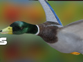 Game Duck Hunter Autumn forest 