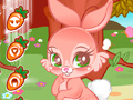 Game Cute Bunny