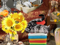 Game Crazy Cat Lady