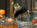 Game The Witches Curse