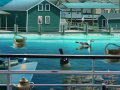 Game The Fisherman's Curse