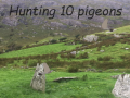 Game Pigeons Hunting