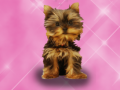 Game Wash Pets Princess Kids    