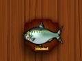 Game Amateur Action Super Fishing