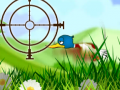 Game Quack Hunt