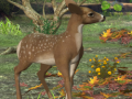 Game Spot The differences Spring in the Woods