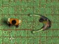 Game Maze Of Infection