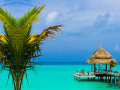 Game Tropical Paradise
