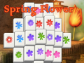Game Spring Flower