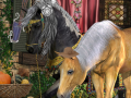 Game The Ruins of Velaria