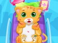 Game Little Cat Doctor