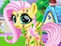 Game Little Pony Caretaker