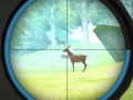Game Hunter Training