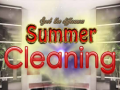 Game Spot The differences Summer Cleaning