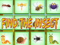 Game Find The Insect