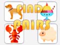 Game Find The Pair
