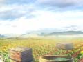 Game Farm Treasure