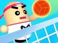 Game Amazing Volleyball