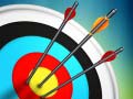 Game Master Archery Shooting