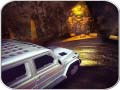 Game Scary Car Driving Simulator
