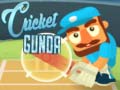 Game Cricket Gunda