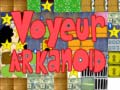 Game Voyeur arkanoid