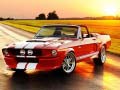Game Fancy Mustang Differences