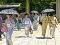 Game 100 Butterflies in Japan
