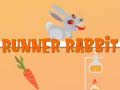 Game Runner Rabbit