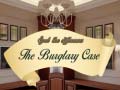 Game Spot The Differences The Burglary Case