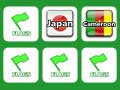 Game Memory With Flags