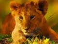Game Wild Baby Animals Jigsaw
