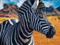 Game Zebra Hunter