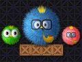 Game Where Is My Ruffled Bird