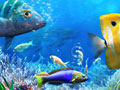 Game Let's Fish