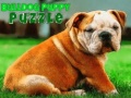 Game Bulldog Puppy Puzzle
