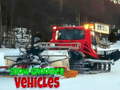 Game Snow Groomer Vehicles